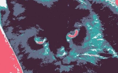 How to Create a Collage Quilt – The GillyMac Quick Method